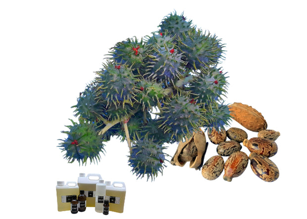 Jamaican Black Castor Oil