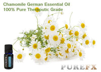 Chamomile (German) Essential Oil